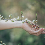 Percepción Sistémica Aplicada